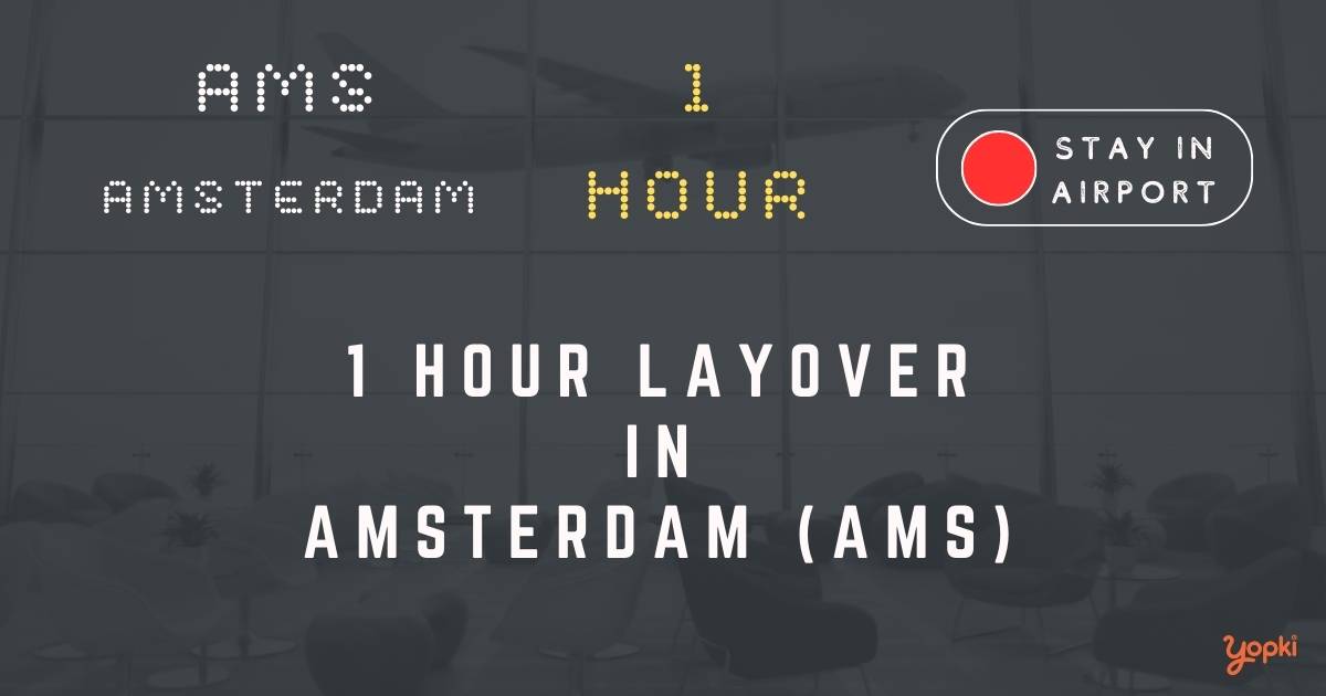 1 hour layover in amsterdam ams