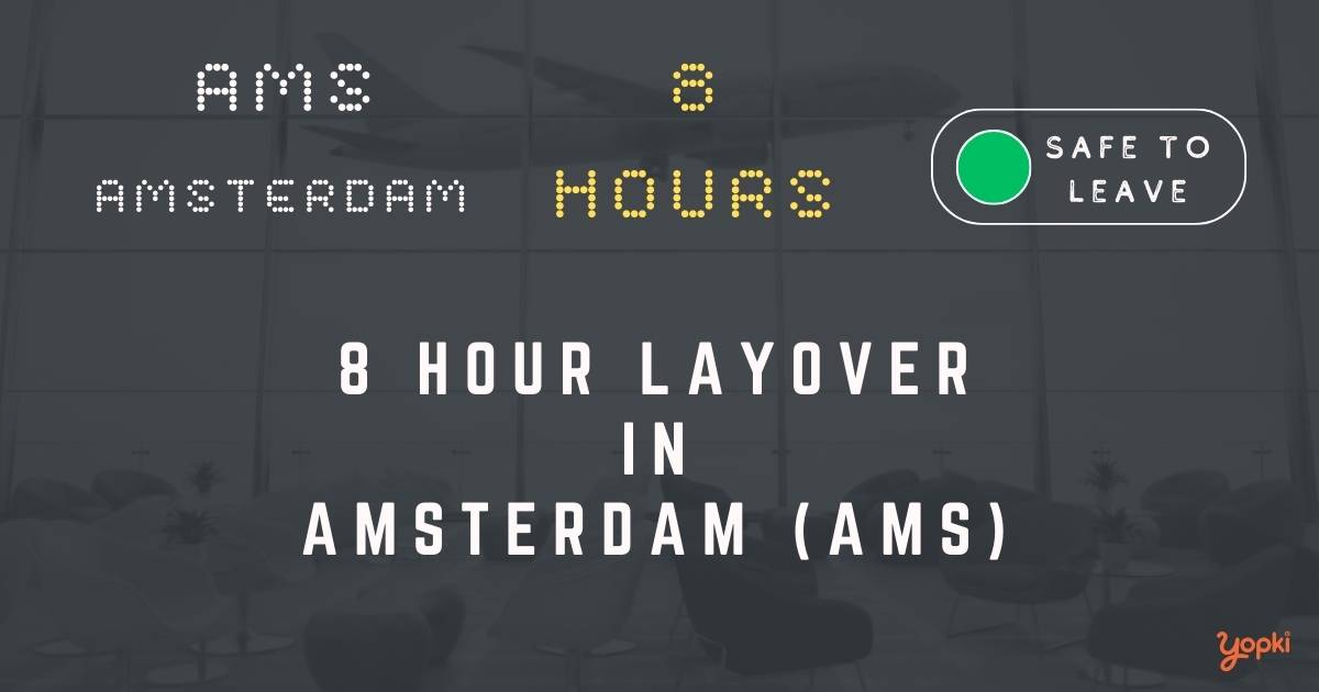 8 hour layover in amsterdam ams