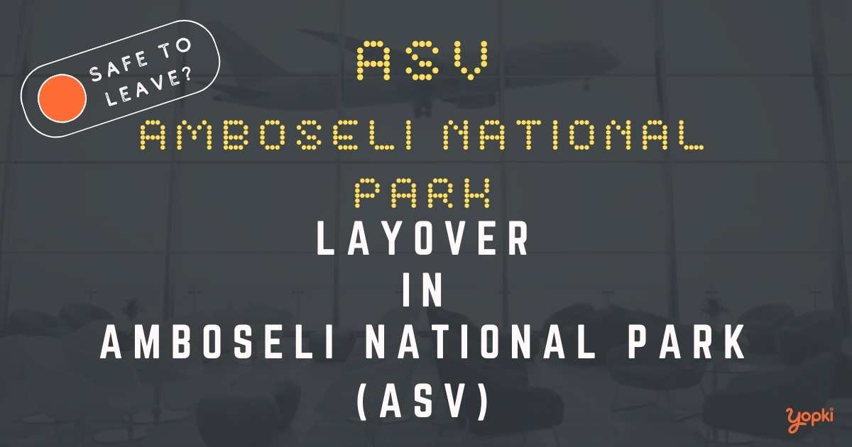 Amboseli National Park Airport Layover Guide – What to Do at ASV