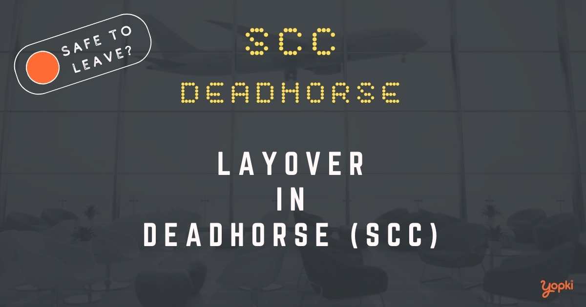 Deadhorse Airport Layover Guide – What to Do at SCC