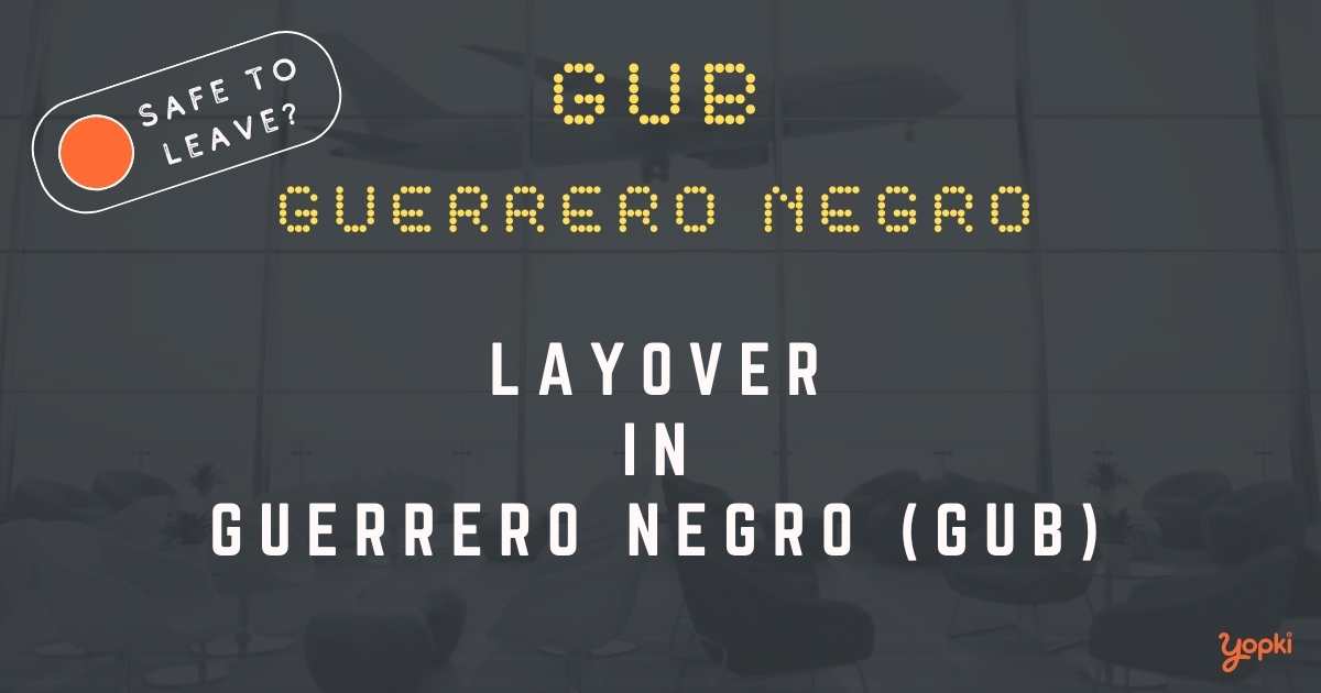 Guerrero Negro Airport Layover Guide – What to Do at GUB