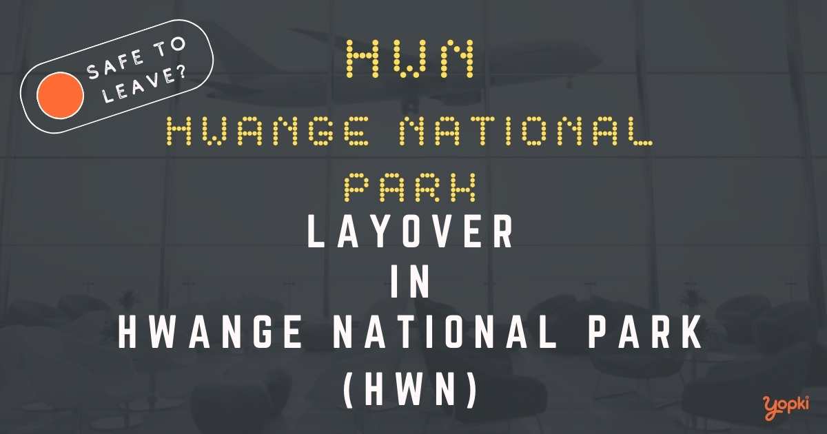 Hwange National Park Airport Layover Guide – What to Do at HWN
