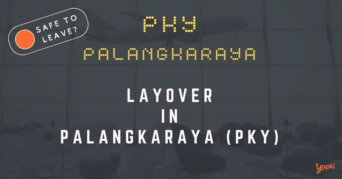 Palangkaraya Airport Layover Guide – What to Do at PKY