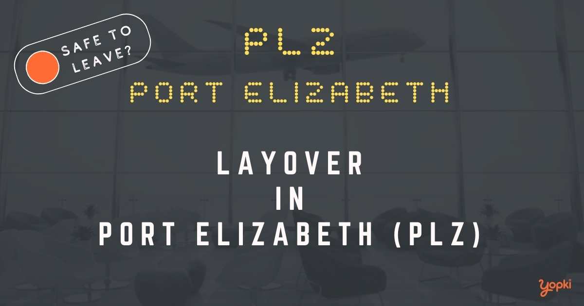 Port Elizabeth Airport Layover Guide – What to Do at PLZ