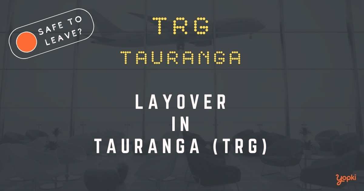 Tauranga Airport Layover Guide – What to Do at TRG