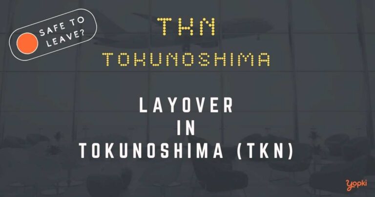 Tokunoshima Airport Layover Guide – What to Do at TKN
